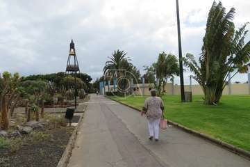Las fiestas patronales dan vida al auditorio del mayor parque urbano de Telde/TA.